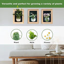 Natural Wooden Frame Wall Hanging Planter for Hydroponic Plants, 12'' x16''inch Wall Vase with Round Acrylic Propagation Station，Bathroom, Office, or Living Room Décor, Set of 3 by CozyNest Decor