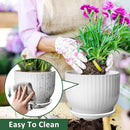 8 Inch Plant Pot,Ceramic Planter with Drainage and Saucer,Ceramic Pots for Plants,Indoor Plant pots,Ceramic Flower pots(Pure White, Plants NOT Included) by GreenHaven Gardens