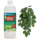 Premium Liquid AROID Plant Fertilizer - 3-1-2 Concentrate for Indoor Plants and Flowers by Gardenera | Organic Plant Food for AROIDS - 32oz by GreenHaven Gardens