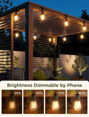 XMCOSY+ Smart Outdoor String Lights, 98Ft LED Patio Lights Waterproof IP65, App Control, Compatible with Alexa, Dimmable Edison Bulbs Outdoor Light for Yard Porch Bistro Outside by GreenHaven Gardens