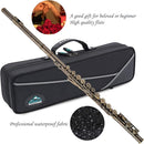 EASTROCK Closed Hole Flutes C 16 Key for Beginner, Kids, Student -Antique Flute with Case Stand and Cleaning kit by TinyTreasures Baby Boutique
