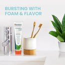 Himalaya Botanique Complete Care Toothpaste, Herbal, Mint Flavor, Fights Plaque, Freshens Breath, Fluoride Free, No Artificial Flavors, SLS Free, Cruelty Free, Foaming, 5.29 Oz, 4 Pack by CozyNest Decor