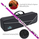 EASTROCK Closed Hole Flutes C 16 Key for Beginner, Kids, Student -Nickel Flute with Case Stand and Cleaning kit (Pink) by TinyTreasures Baby Boutique