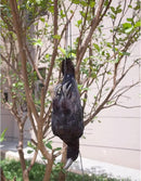 Etistta 17 inch Realistic Hanging Dead Crows Decoy Lifesize Extra Large Black Feathered Crow by GreenHaven Gardens