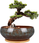 8 Inch Ceramic Bonsai Planter Pot, Glazed Shallow Succulent Planter with Drainage Hole and Bamboo Saucer for Indoor Plants, Brown by GreenHaven Gardens