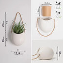 Wall Planters -Ellie- | Hanging Ceramic Plant Pots 3 Pieces | Wall Decoration for Indoors, Balcony and Garden | Cream (Matte) by GreenHaven Gardens
