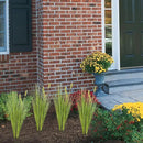Melorca&Guilla Artificial Plants 6PCS 27“ Fake Tall Onion Grass Faux Plant,Artificial Grass Greenery Shrubs Bushes for Garden Porch Window Box Shop Office Home Décor by CozyNest Decor