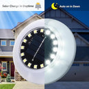 Flumy Solar Ground Lights, 16 Pack 16 LED Solar Lights Outdoor Waterproof, Solar Garden Lights for Outside Patio Pathway Yard Lawn Driveway Pathway Walkway, Outdoor Christmas Decorations(Cool White) by GreenHaven Gardens