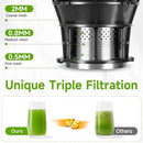 Cold Press Juicer, 5.3" Wide Feed Chute Juice Extractor Machine with 400W, High Juice Yield, Slow Masticating Juicer for Whole Vegetables & Fruits, Deep Grey by CozyNest Decor