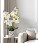 Orchid Artificial Flowers with Sliver Vase Large Silk Faux Phalaenopsis Flowers for Dining Room Table Floral Centerpieces Indoor Decoration,White by CozyNest Decor