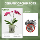 Orchid Pots with Holes | 5" Ceramic Orchid Planter with Separate Saucer and Drainage Holes | Glazed Pottery Small Flower Pot for Repotting Orchids(Green) by GreenHaven Gardens
