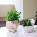 Face Planter Pots Funny Toilet Plant Pot for Indoor Plants, Cute Face Head Flower Pots Quirky Succulent Planters Gift Ideal for Home, Office, Christmas by GreenHaven Gardens