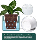 D'vine Dev 10 Inch Design Self Watering Planter for Indoor Plants, White Terracotta Pot with Teal Cylinder Glass Cup, 37-X-D-5 by GreenHaven Gardens