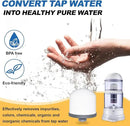 4Pack Replacement Ceramic Dome Water Filter 0.2 to 0.5 micron for Countertop Portable Water Purification System by CozyNest Decor