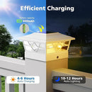 NIORSUN Solar Post Lights Outdoor 12 Pack, 2 Modes LED, Deck Fence Post Solar Lights for 3.5x3.5 4x4 5x5 5.5x5.5 Caps Patio Garden Decoration, White by GreenHaven Gardens