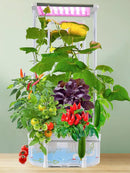Hydroponics Growing System kit with Trellis,Smart Hydroponic Gardening System with LED Grow Light, Indoor Hydroponic Garden Herb Grow Kit for Short Tomato,Pepper,Cucumber (6200LC) by GreenHaven Gardens