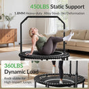 BCAN 40"/48" Mini Rebounder Trampoline for Adults with Bar, 450/550LBS Fitness Trampoline with Bungees, Adjustable Handle, Stable & Quiet, Indoor Outdoor, Whole-Body Workout & Relaxation at Home by TinyTreasures Baby Boutique