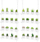 Clear Hanging Window Plant Shelves,2-Pack 4-Tier,Indoor Windows Wall Hanging Plant Stand Flower Display,Flower Pot Organizer Storage for Window Grow Herbs,Microgreens,Succulents,Flowe4,16-Inch by GreenHaven Gardens