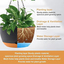 8/10/12 inch Plant Pot Hanging Planters Self Watering Pots for Indoor Plants, 3 Pack Plastic Hanging Basket with Removable Tray for Home Garden Porch Balcony Patio Decor(Black) by GreenHaven Gardens