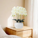 Orchid Artificial Flowers with White Vase Large Silk Faux Phalaenopsis Flowers for Dining Room Table Floral Centerpieces Indoor Decoration,White by CozyNest Decor