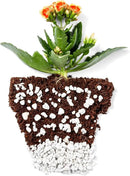 Perlite Bliss (24 Qts) - Organic Perlite for Plants - Coarse Perlite Bulk Soil Amendment - Chunky Perlite for Plants, Potting Soil, Garden Soil, & Coco Coir - Horticultural Perlite for Gardening by GreenHaven Gardens