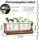 Plant Propagation Station, Propagation Vases for Plants, Unique Gardening Birthday Gifts for Women Plant Lovers Mom Best Friend - 5 Bulb Glass Vases by GreenHaven Gardens