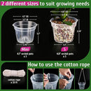 REMIAWY Orchid Pot - 6 Pack Clear Plastic Orchid Pots with Holes, Slotted Flower Planter for Indoor Outdoor Use, 3 Each of 4.1 and 4.8 Inch by GreenHaven Gardens