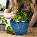 10 Inch Ceramic Planter Pot, Ceramic Plant Pot for Indoor Outdoor Plants, Large Flower Pot with Drainage Hole and Saucer, Blue by GreenHaven Gardens