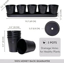 SCANDINORDICA Black Herb Planter – 5 Pots with Drainage Holes and Tray, Windowsill Planter, Herb Pots for Indoor Outdoor Plants | Kitchen & Garden Decor by GreenHaven Gardens