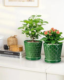 EFISPSS 6 Inch Plant Pot,Ceramic Pots for Plants with Drainage,Flower Pots Indoor Pots for Plants, Modern Flower Pots for Home and Office,Set of 2 - Patina by GreenHaven Gardens