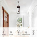 Large Outdoor Pendant Lantern Light Fixture for Front Porch, 24 Inch 3-Light Bronze Exterior Hanging Chandelier with Clear Glass, Outdoor Indoor Pendant Lamp for Patio, Gazebo, RZ008L-H ORB by CozyNest Decor