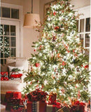 HOME LIGHTING 66ft Christmas Decorative Mini Lights, 200 LED Green Wire Fairy Starry String Lights Plug in, 8 Lighting Modes, for Indoor Outdoor Xmas Tree Wedding Party Decoration (White) by TinyTreasures Baby Boutique