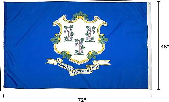 FlagSource Connecticut Nylon State Flag, Made in USA, 4x6', photo 7 of 7