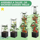 MQFORU 2Pack Raised Garden Bed Planter Boxes with Trellis, 57" Self-Watering Tomato Planter Boxes with Trellis for Climbing Vegetable and Plants, Tomato Cage for Indoor Outdoor Use by GreenHaven Gardens