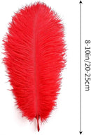 THARAHT Red Ostrich Feathers 12pcs Natural Bulk 8-10Inch 20cm-25cm for Crafts Wedding Party Centerpieces Flower Arrangement Halloween and Home Decoration Feathers by CozyNest Decor