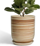 Ceramic Planter 10 Inch - Ceramic Pots for Indoor Plants Outdoor Large Plant Pot with Drainage Hole and Saucer Cylinder Flower Pot Yellow by GreenHaven Gardens