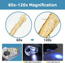 Pocket Microscope, 60x-120x Handheld Mini Microscope Kids with LED Lights, 5 Slides Specimens, BEBANG Portable Microscope for Kids Student Adults Microbiological Observation Lab Study, Educational Kit by TinyTreasures Baby Boutique