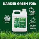 Simple Lawn Solutions - Liquid Iron Fertilizer Darker Green - Chelated Micronutrients - Concentrated Green Booster for Turf Grass, Indoor Plants and Outdoor Garden (32 Ounce) by GreenHaven Gardens