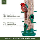 Kingsyard 2 Pack Tube Bird Feeders for Outdoors Hanging, Premium Hard Plastic Bird Feeder with 6 Feeding Ports, Weatherproof & Steel Hanger, Attracting for Wild Birds (Green) by CozyNest Decor