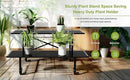 Zhongma 2 Tier Sturdy Metal Plant Stand with Wheels, L35.43 x W17.5 x H16.14 inch, Heavy Duty Plant Holder for Home Indoor and Outdoor,440 LBS Capacity & Heavy Duty Construction by GreenHaven Gardens