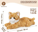 Orange Tabby Cat Stuffed Animals, Microwavable Stuffed Animal Adorable Fluffy Cat Plush for Warmth & Comfort, Heatable & Coolable Lavender Scent Cat Toys, Cute Soft Plushies Cat Gifts for Kids & Adult by TinyTreasures Baby Boutique