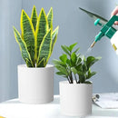 10/8/6 inch Deep Flower Pots, 3 Pack Cylinder Tall Plant Pots for Outdoor Indoor Plants, Large Decorative Plastic Planters with Drainage Holes and Saucers for Garden House Plants, White by GreenHaven Gardens