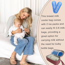 Insulated Breastmilk Cooler Bag with 2 Ice Packs - Breastmilk Cooler Organizer Bag for Daycare, Breastfeeding Mom Travel Outdoor by TinyTreasures Baby Boutique