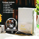 YWHL 3D Hummingbird Figurine Crystal Ball with Light Base, Hummingbird Gifts for Women Men on Christmas Birthday, 3D Laser Engraved Hummingbird Ornament Glass Decorative Ball for Home Office (80mm) by GreenHaven Gardens