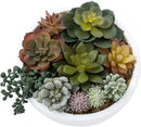 MyGift 8 Inch Round Modern Artificial Succulent Arrangement Potted in White Concrete Plant Bowl, Assorted Faux Mini Succulents in a Decorative Planter Pot by CozyNest Decor