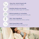 Kabrita Goat Milk Toddler Nutrition, 12-24 Months - Easy to Digest, Contains Vitamin D, Calcium, Iron, DHA, Non-GMO - Gentle on Sensitive Tummies - Supports Gut Health & Sleep - 28oz (Pack of 6) by TinyTreasures Baby Boutique
