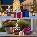 TAKE ME Gardening Gifts Birthday Gifts for Women Garden Outdoor Decor Amercian Eagle Solar Lights Outdoor Eagle Lovers Womens Gfits for Patio, Yard (America Eagle) by GreenHaven Gardens
