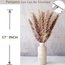 110 PCS Dried Pampas Grass Bouquet, Boho Table Decor, Bunny Tails Dried Flowers, Brown Pompas, White Pampas Grass for Wedding, Home, Rustic Party, Baby Shower Decorations by CozyNest Decor