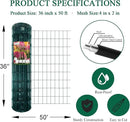 Green PVC Coated Welded Wire Fence 36 Inch x 50 Foot, 2 Inch x 4 Inch 14GA, Garden Border Fencing Roll Vinyl Coating Metal Wire Mesh Hardware Cloth for Yard Vegetable Plant Protection by GreenHaven Gardens