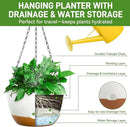8 Inch Hanging Planters for Indoor & Outdoor Plants (2 Pack) - Self-Watering & Drainage Flower Pots with 2 Kinds of Plant Hangers for Home Decor & Garden (White, 8 in) by GreenHaven Gardens